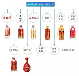 茅臺(tái)酒品鑒與營銷策略 技術(shù)開發(fā)賦能品牌新生態(tài)